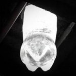 Haber-20110823-19324